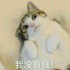YdwfgqKpg