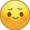 抬头望月月不语